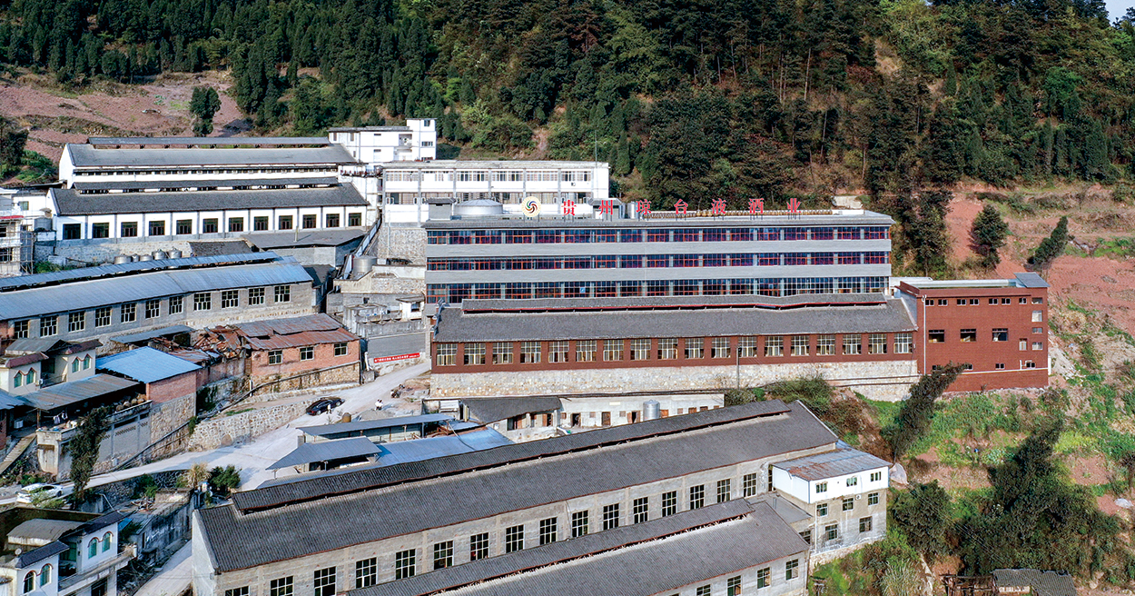 漢夏宣傳視頻